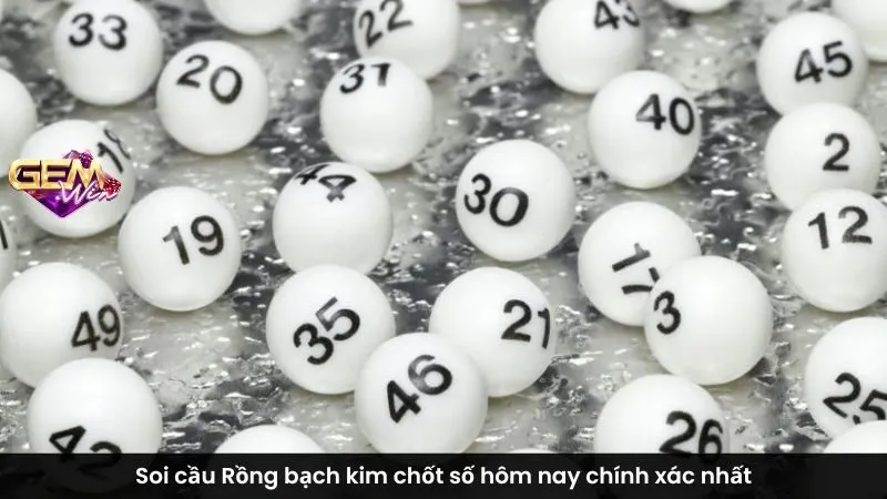 rồng bạch kim